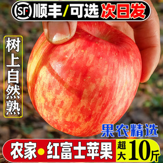 山西红富士苹果10斤新鲜水果应当季冰糖心丑苹果整箱脆甜嘎啦