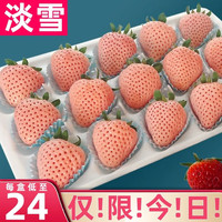 田良季【空运】淡雪草莓白粉色草莓引进品种新鲜水果圣诞草莓品物盒 【橙色淡雪】更浓郁 2盒500g礼盒装丨新年礼 0.5kg
