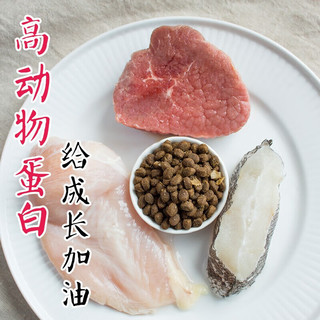 江小傲 全价成猫粮 2kg*5包