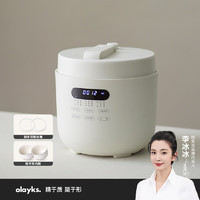 olayks 欧莱克 电压力锅 家用多功能高压快煮智能预约小压力锅 5L适用4-6人用双胆