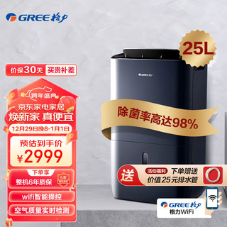 GREE 格力 抽湿机/除湿机 家用卧室办公室干衣净化除湿器 25升/天 适用70平方米以内 智能数控(DH25EPA1B)