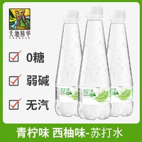 移动端、京东百亿补贴：天地精华 果味苏打水410ml*6瓶