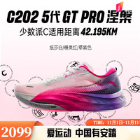 安踏（ANTA）C202 5代GT PRO丨勇立潮头运动鞋女鞋氮科技马拉松竞速碳板跑步鞋 GT PRO涅槃-1 6.5码/37.5