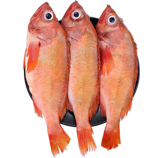 尊利渔 红石斑鱼冷冻 750-800g/条