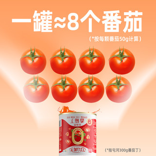 88VIP：屯河 中粮屯河丁丁立鲜季轻食番茄丁300g0添加剂沙拉番茄罐头