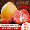 京逸 柚子新鲜红心柚子时令红柚 水果礼盒 两枚装（2斤左右/个） 1kg