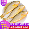 大黄花鱼3斤 共3条 福建活冻大黄鱼生鲜冷冻鱼类轻食 1.5kg