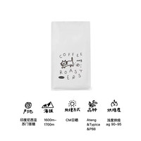 风味取向曼特宁：河汉咖啡 印度尼西亚 苏门答腊Avatara Gayo庄园 CM日晒 浅烘豆 100g