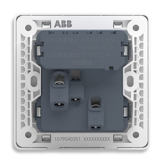 ABB 远致系列 灰色五孔带双USB