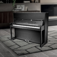 HAI LUN 海伦 家用考级立式实木钢琴 S119L 黑色