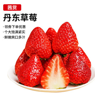 茜货 丹东99红颜奶油草莓水果生鲜大果3斤装 单果20-30g 源头直发 1.5kg