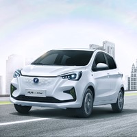 CHANGAN AUTO 长安汽车 奔奔E-Star