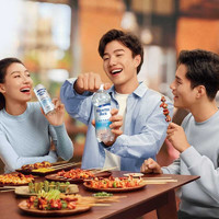 pepsi 百事 可乐纯水乐苏打气泡水450ml*12瓶特价0糖0卡原味气泡水饮品