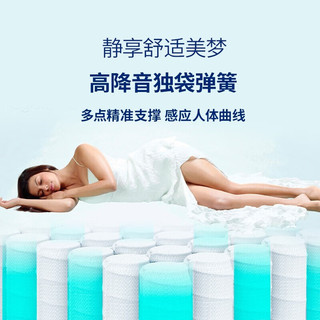 雅兰（AIRLAND）乳胶+凝胶记忆棉双人厚床垫 奢华羊毛棉独袋弹簧 金棕榈 1.8*2m