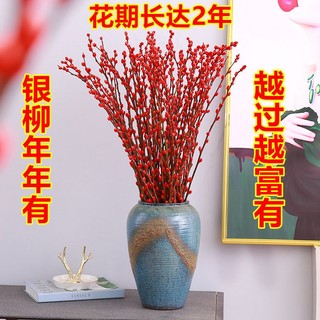 KaiShiguo Plants 开时果 银柳干花鲜枝真花红色福桶年宵花卉室内装饰客厅摆设摆件水培植物45cm30支