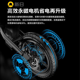 新日（Sunra）折叠电动自行车新国标超长续航代驾车锂电池助力成人电瓶车电单车 华贵黑-级8A-助力约80KM