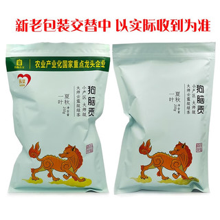 狗脑贡湖南郴州特产狗脑贡绿茶袋装茶叶新茶资兴狗脑贡茶夏秋一叶级 250g