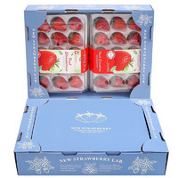 俏鲜季大草莓丹东99牛奶草莓红颜草莓礼盒装 大 果【单果25克+】 一盒 【350克/盒】