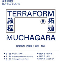 【Terraform】2023产季 山楂紫苏话梅糖经典肯尼亚水洗手冲咖啡豆