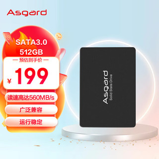 Asgard 阿斯加特 AS SATA 固态硬盘 500GB（SATA3.0）