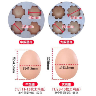 琉滋鸡蛋快递箱子40枚蛋托珍珠棉土鸡蛋托快递包装蛋托防震泡沫盒 30枚鸭蛋托纸箱