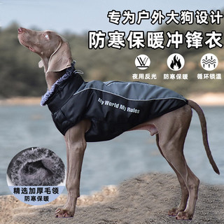 PUR LAB 噗扑实验室 PEITE PET狗狗衣服冬天加厚保暖棉衣中大型犬金毛杜宾边牧柯基狗衣服可牵引 陨石灰 4XL （适合41-54斤）