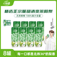 一枝笔 100%莱阳·梨汁饮料310ml*8罐礼盒装0添加0蔗糖梨汁果味饮品  100%梨汁310ml*8罐