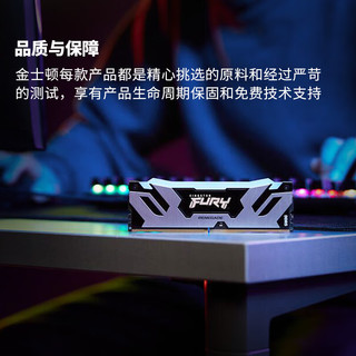 金士顿 (Kingston) FURY 32GB(16G×2)套装 DDR5 8000 台式机内存条 Renegade叛逆者系列 RGB灯条 骇客神条