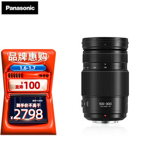 Panasonic 松下 100-300mm F4.0-5.6Ⅱ微单相机长焦变焦镜头 M43卡口