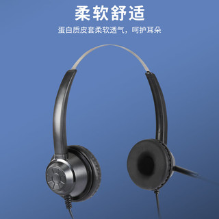 伶丰(LSEFEN)H310D-USB主动降噪头戴式话务耳机usb接口/客服耳麦/电销耳麦//呼叫中心/办公耳机 双耳