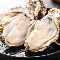 闽洋乳山生蚝特大牡蛎海蛎子生鲜年货礼盒海鲜水产贝类净重5斤34两个