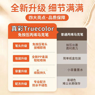 truecolor 真彩 丙烯马克笔12色