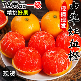 绿念 血橙10斤中华红橙子秭归新鲜水果当季整箱红心甜脐大果果冻赣橙南