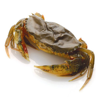 御鲜轩 缅甸冷冻软壳蟹 750g8-12只 海鲜水产螃蟹麻辣蟹食材