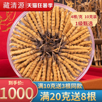 藏清源新鲜冬虫夏草干货头期4条/克40根10克虫草礼盒装