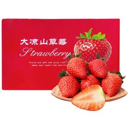 四川高山露天种植红颜99草莓  5斤