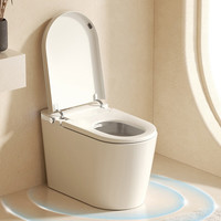 FAANSI 法安思 即热式智能马桶