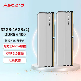 Asgard 阿斯加特 32GB(16GBx2)套装 DDR5 6400 台式机内存 海拉系列