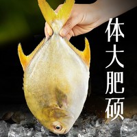 东上御品 深海金鲳鱼4条超大鲳鱼新鲜冷冻银鲳白鲳冰鲜活水产批发