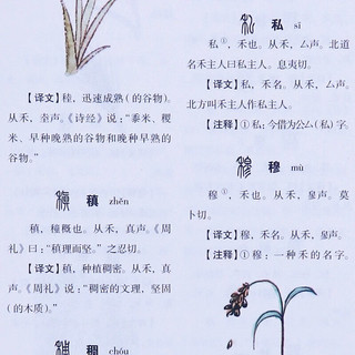 全4册说文解字彩色详解中国古代汉语字典古文字字典咬文嚼字细说汉字语言文字书排行榜
