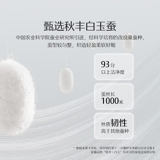 水星家纺子母被A类抗菌100%桑蚕丝被二合一被芯刺绣保暖秋冬被褥春秋被子 清平韵抗菌桑蚕丝二合一被(青色) 200cm×230cm