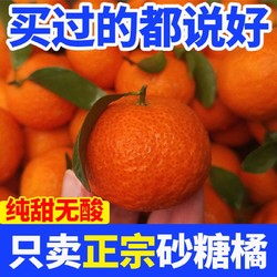 春风农场 正宗广西砂糖橘5斤果径30mm起纯甜橘子爆甜多汁新鲜水果无籽桔子