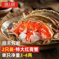 红膏呛蟹整只咸蟹炝蟹即食韩国酱母蟹宁波舟山梭子蟹糊螃腌生腌蟹 【3-4两尝鲜款】实发2只