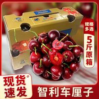  JOYVIO/佳沃 新鲜 车厘子