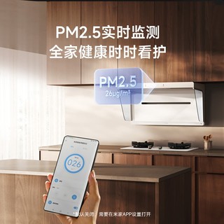 Xiaomi 小米 米家智能净烟机S2 白色