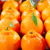 四川特级春见耙耙柑粑粑柑杷杷橘子当季整箱新鲜水果不知丑柑桔火