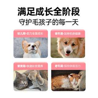 RedDog红狗维力维生素b族片 猫狗多维片复合维B营养补充剂 促食欲护毛发 【猫】多维片(150片)