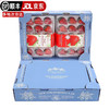 惜音大凉山奶油草莓红颜99草莓新鲜水果 当季奶油草莓 1盒 （单盒15粒 净重300g+）