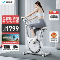 麦瑞克(MERACH)动感单车家用车智能运动器材室内脚踏自行车 银月SILVER 全智能调阻/亲肤舒适大坐垫