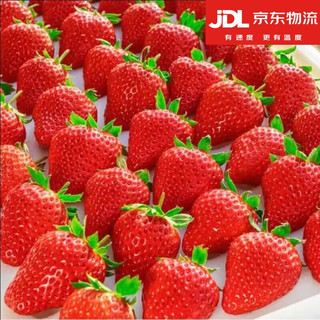 网粮 JD多地次日达99牛奶现摘红颜奶油甜草莓新鲜水果年货礼盒装 1盒  中果草莓尝鲜款